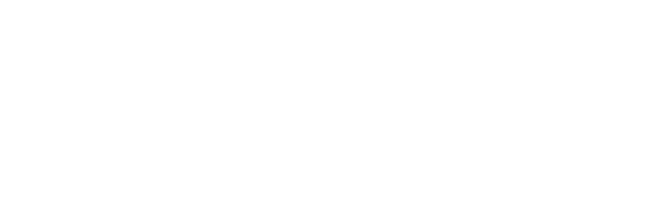 Chojnickibus